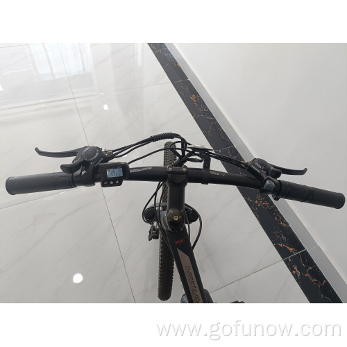 Long range motor 36V 350W electric mountain bike